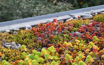 the cost of Tremain green roof installation