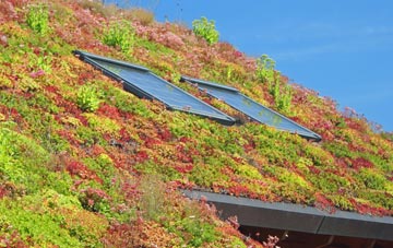 Tremain living roof systems