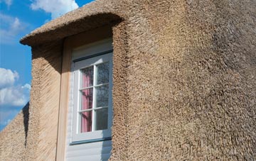 Tremain thatch roof disadvantages